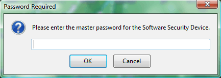 Master Password