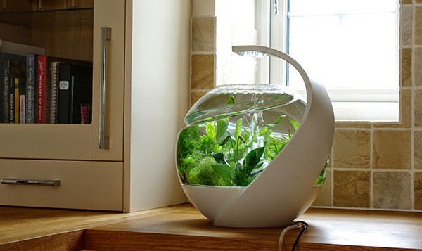 Increase humidity with fish tank in air conditioned room