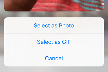 Send Live Photos as GIF on WhatsApp