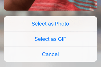 Create a GIF directly in WhatsApp 