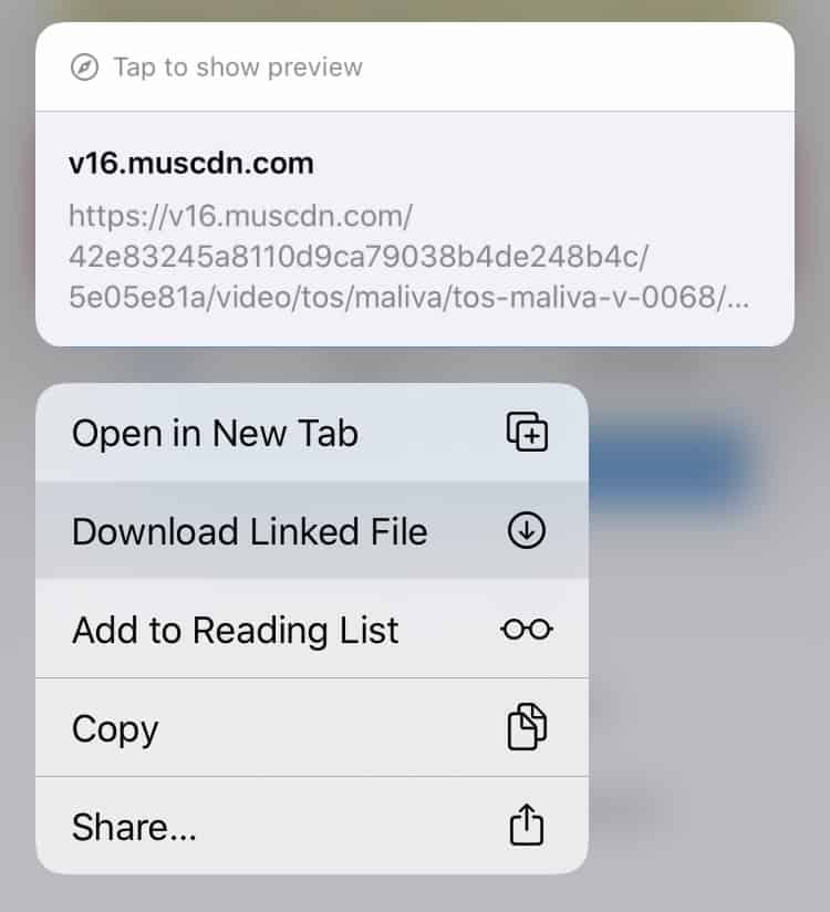 Download online videos using a web downloader - iPhone