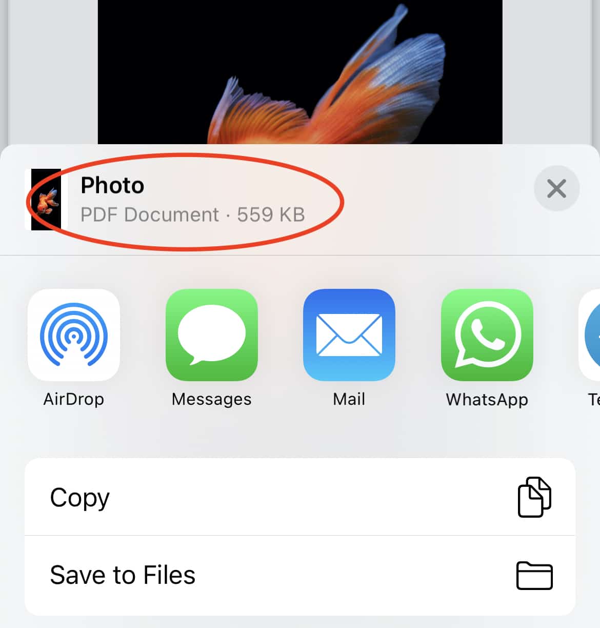 How to convert photos to PDF on iPhone, iPad