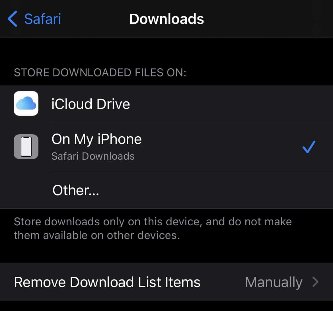 Set up Safari's Download Manager - iPhone and iPad