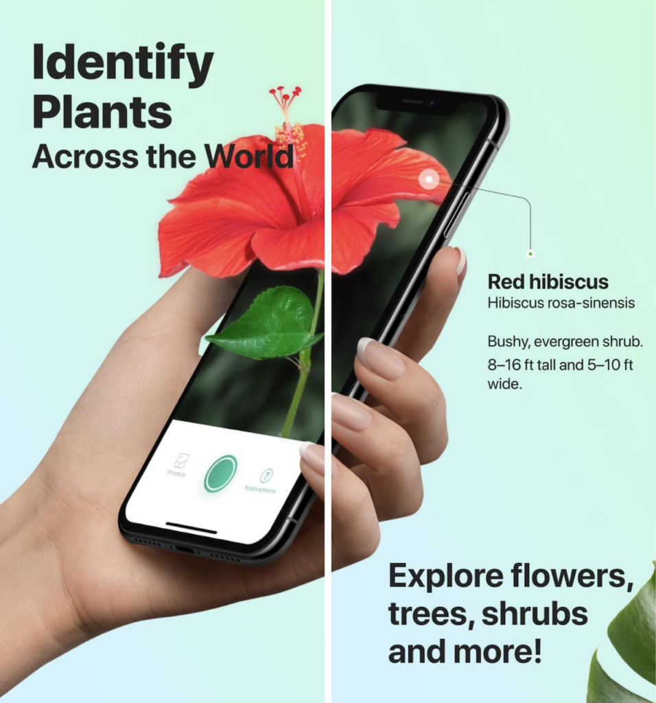 How to identify plants & trees with Android, iOS