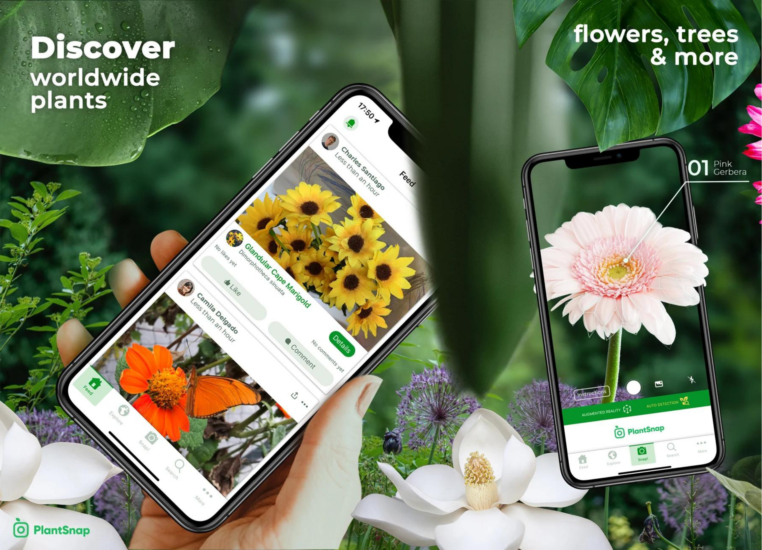 PlantSnap (Android, iOS)