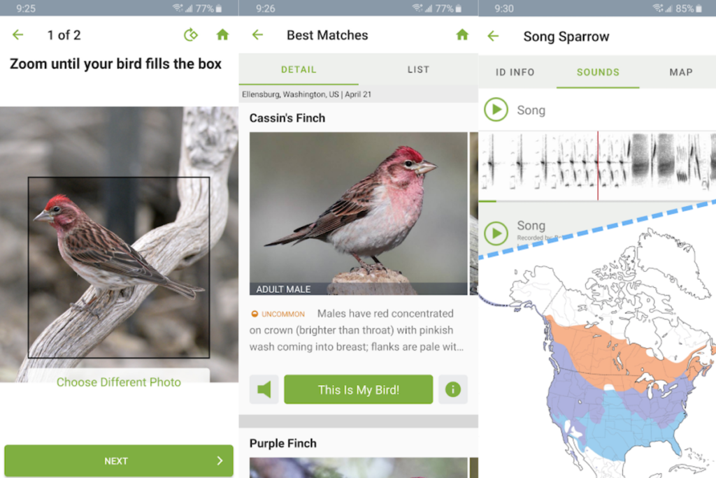 best-apps-to-identify-birds-by-call-picture-features-with-android